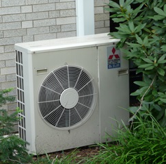 ss (2013-08-26 at 08.43.15).jpg
